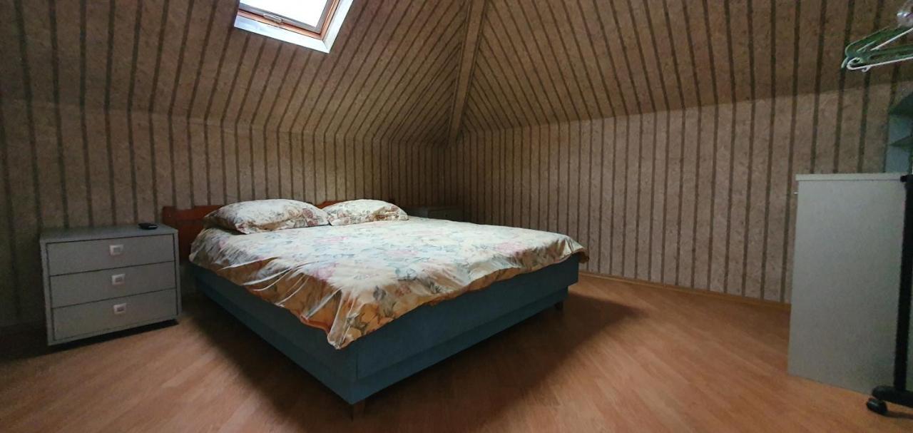Vila Vasile ナボダリ エクステリア 写真
