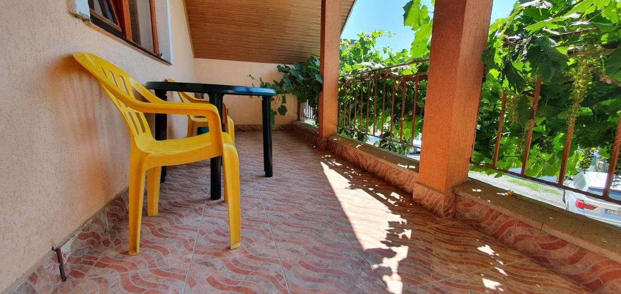 Vila Vasile ナボダリ エクステリア 写真