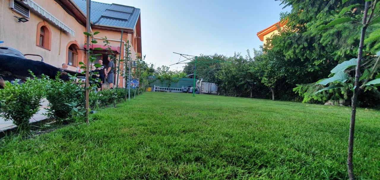 Vila Vasile ナボダリ エクステリア 写真