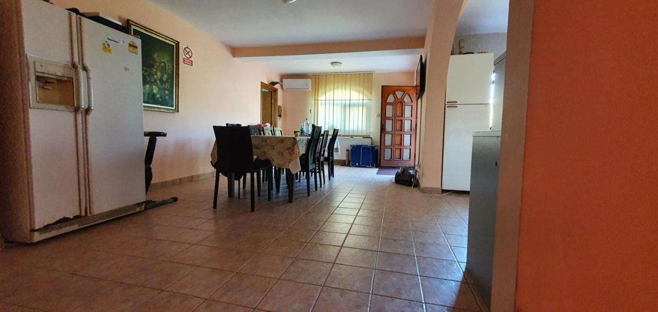 Vila Vasile ナボダリ エクステリア 写真